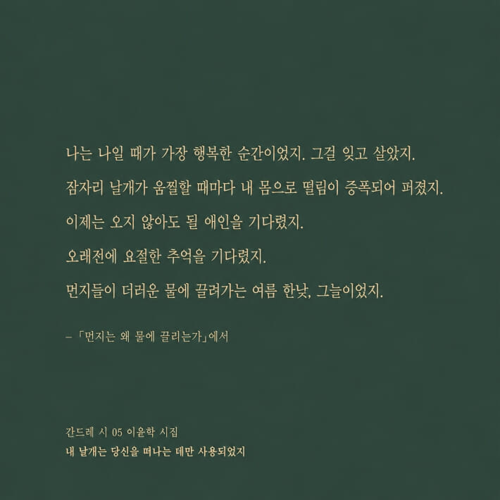 카드뉴스8