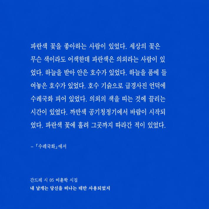카드뉴스10