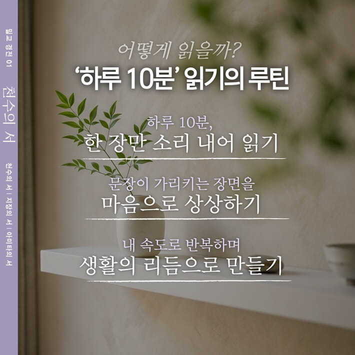 카드뉴스5