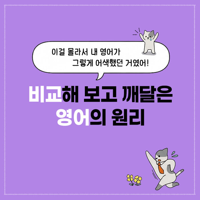 카드뉴스1