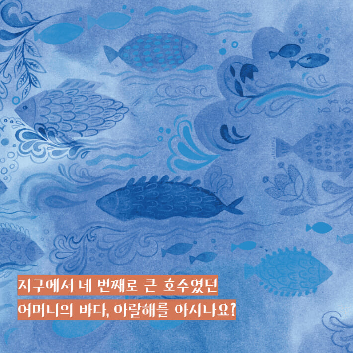 카드뉴스2