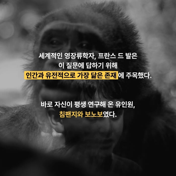 카드뉴스4