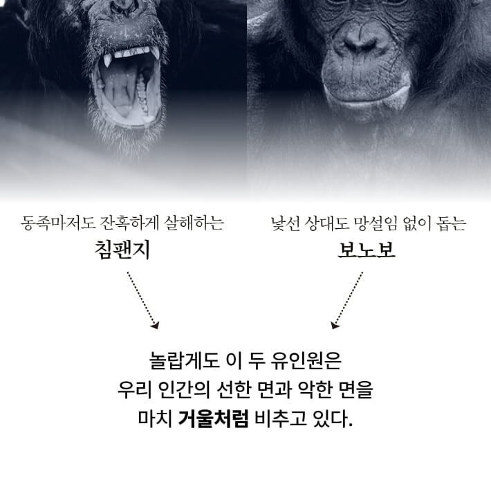 카드뉴스5
