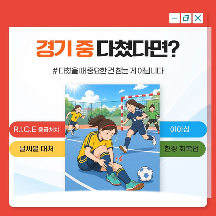 카드뉴스8