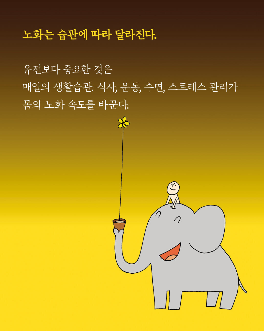 카드뉴스5