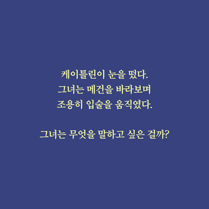 카드뉴스6