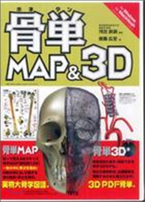 骨單 MAP&3D