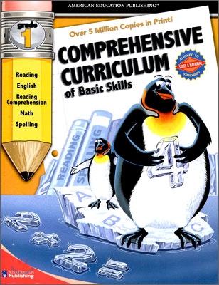 Comprehensive Curriculum of Basic Skills (Paperback, Workbook)