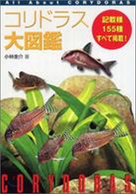 コリドラス大圖鑑 All About Corydoras