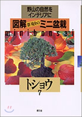 圖解 群境介のミニ盆栽 野山の自然をインテリアに(7)トショウ