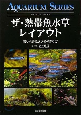 ザ.熱帶魚水草レイアウト