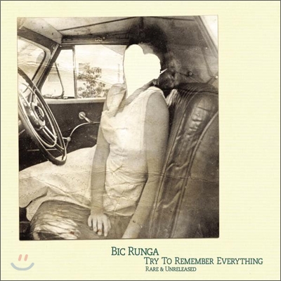 Bic Runga - Try To Remember Everything