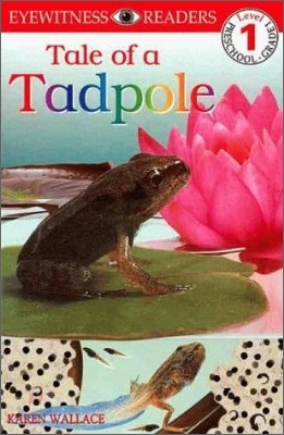 Tale of a Tadpole -DK Readers (책 + CD 1장)