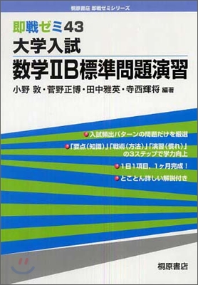 大學入試數學2B標準問題演習