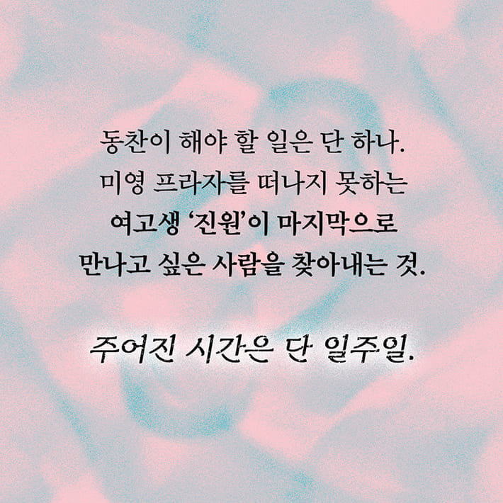카드뉴스8