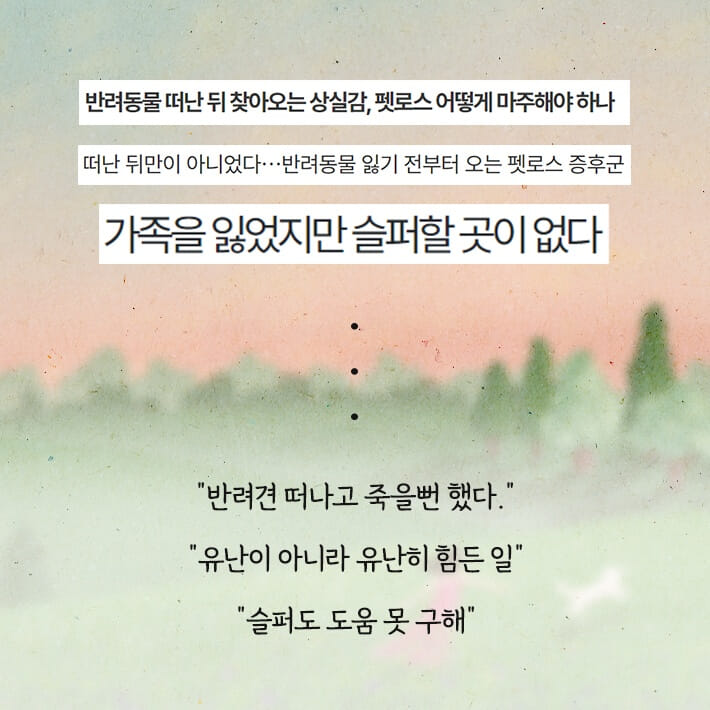 카드뉴스1