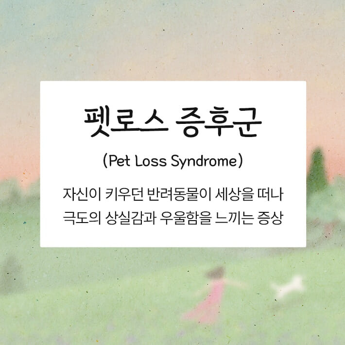 카드뉴스2