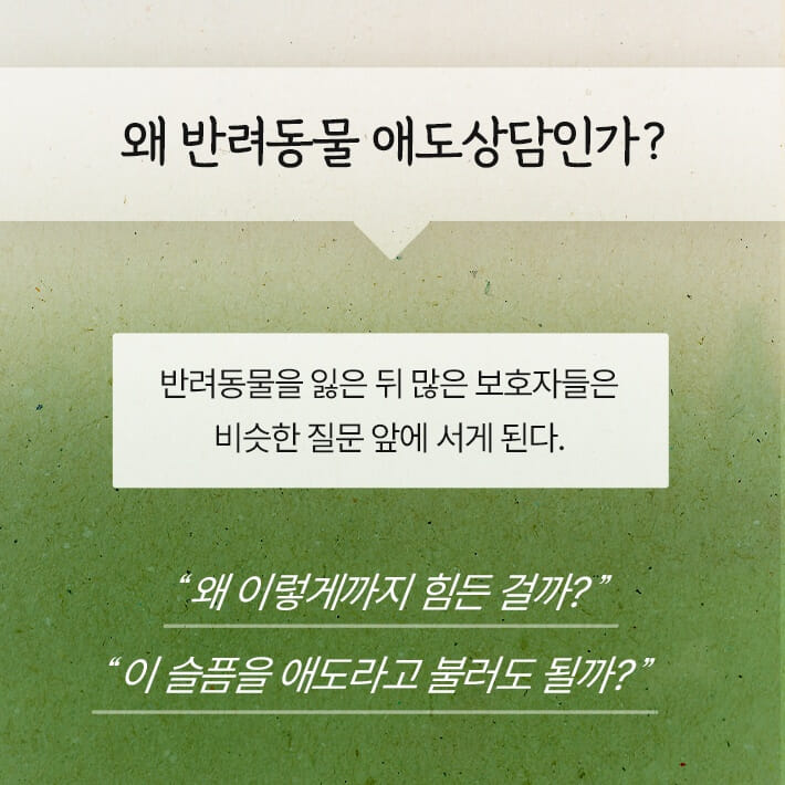 카드뉴스3