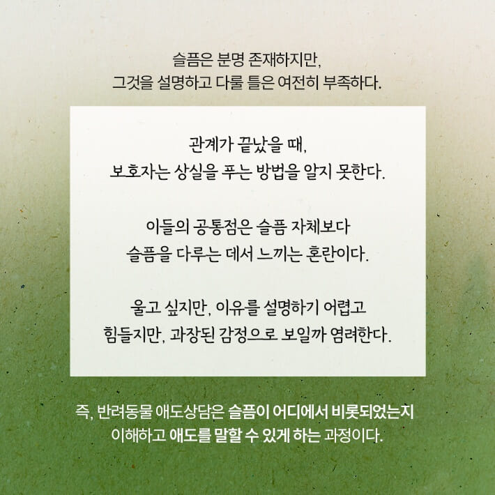 카드뉴스5