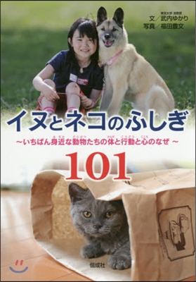 イヌとネコのふしぎ101