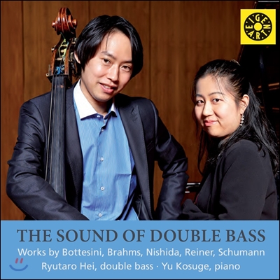 Ryutaro Hei / Yu Kosuge 사운드 오브 더블베이스 - 슈만 / 라이너 / 니시다 / 브람스 / 보테시니 (The Sound of Double Bass)