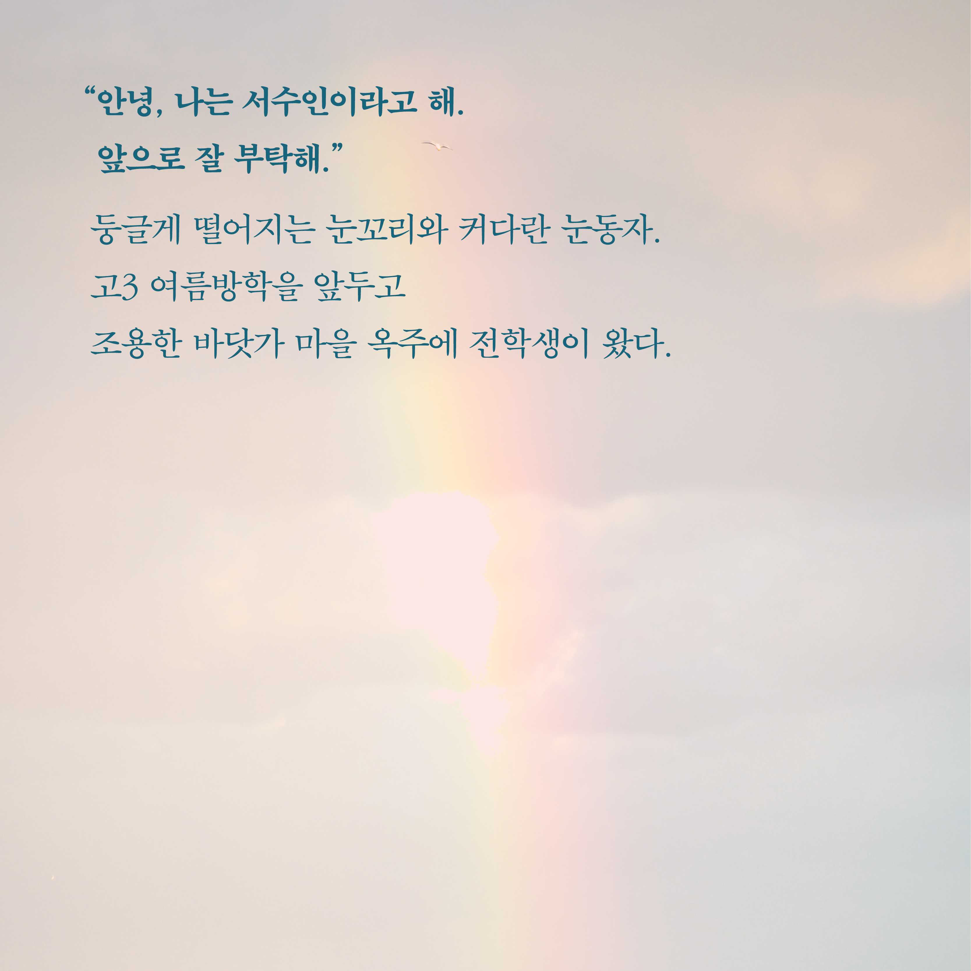 카드뉴스