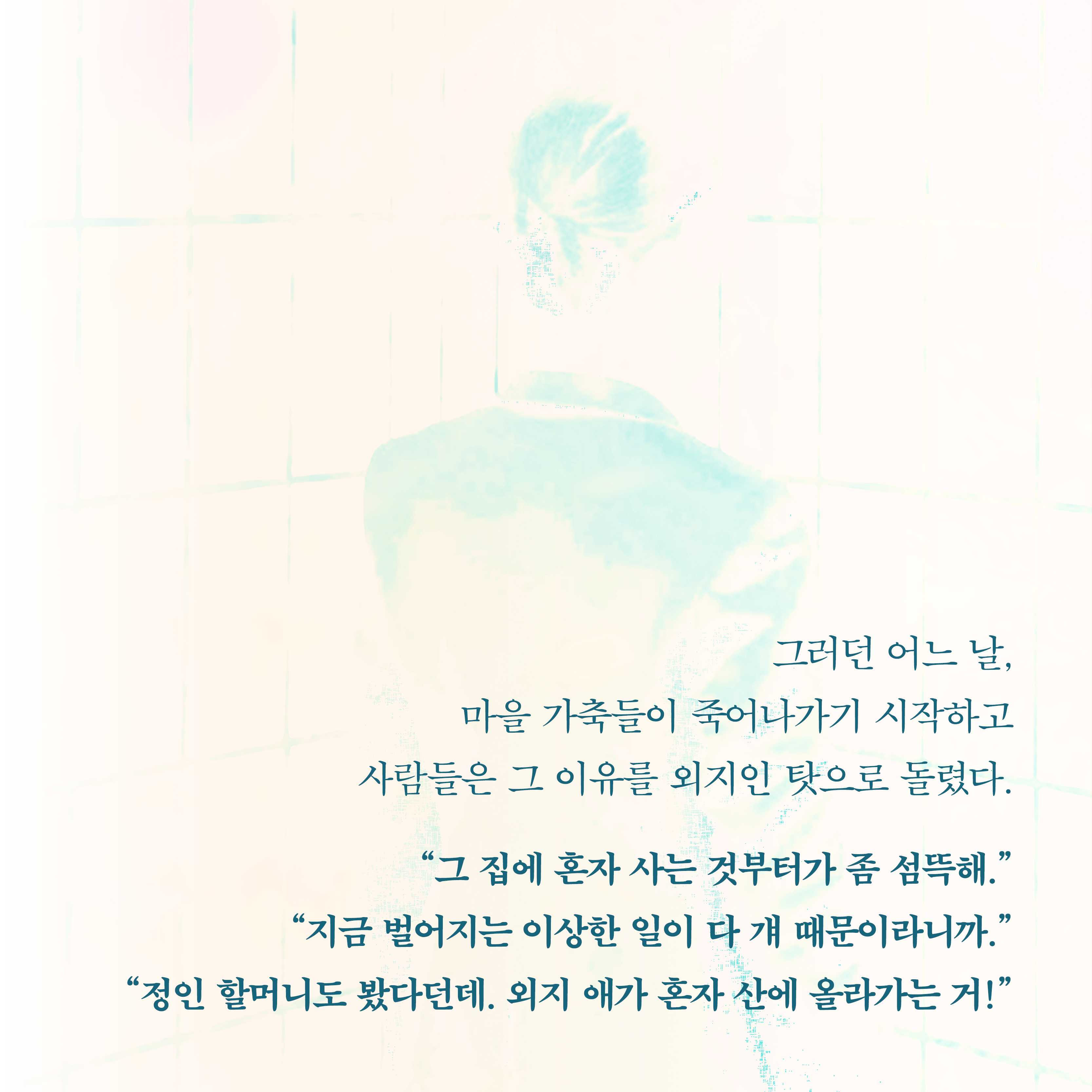 카드뉴스