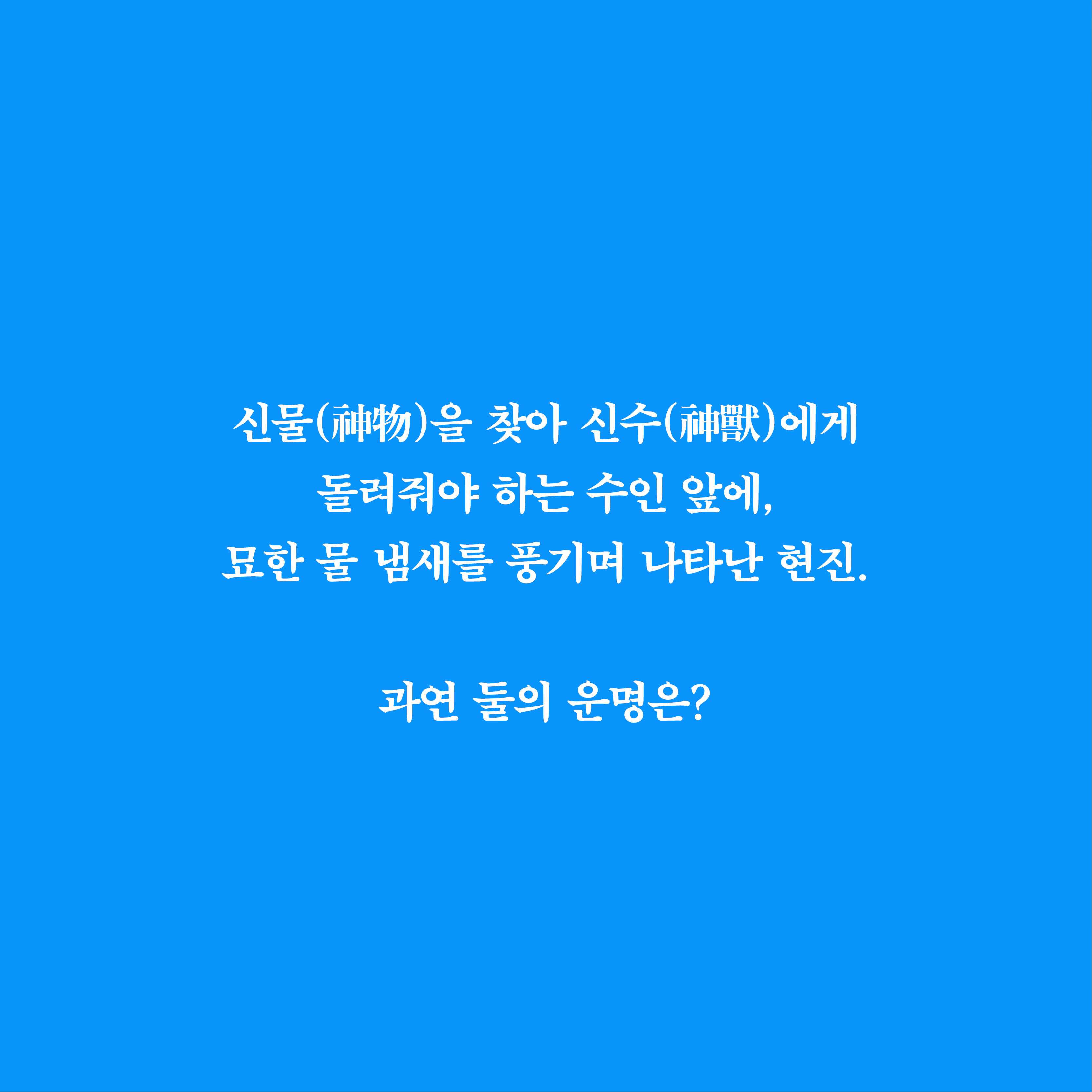 카드뉴스