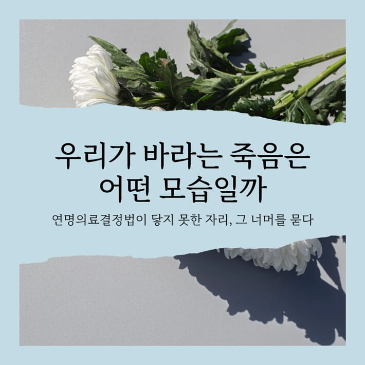 카드뉴스6
