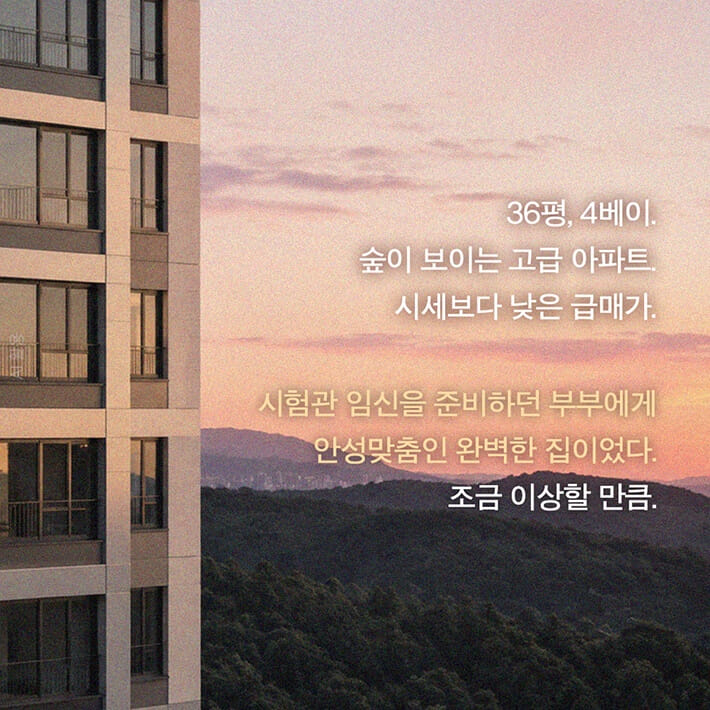카드뉴스3
