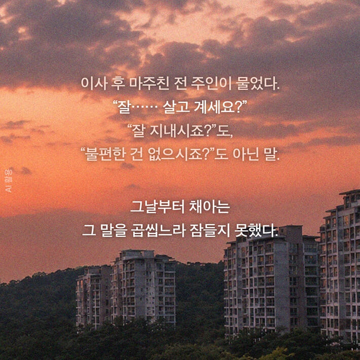 카드뉴스5