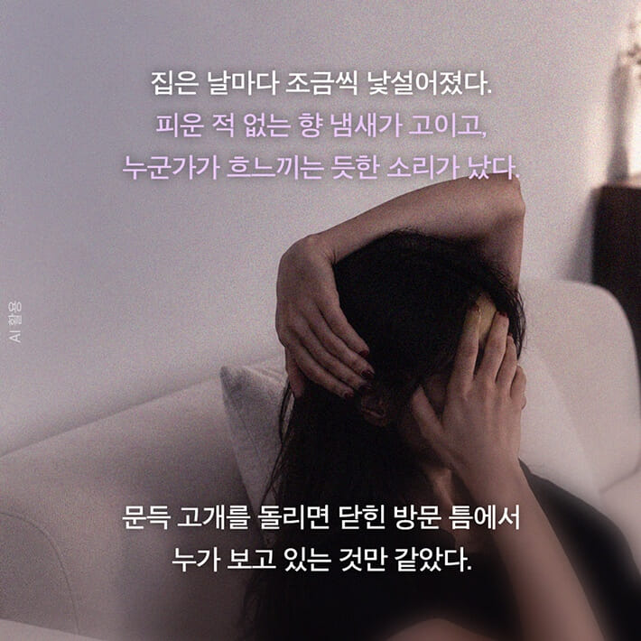 카드뉴스6