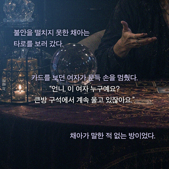 카드뉴스8