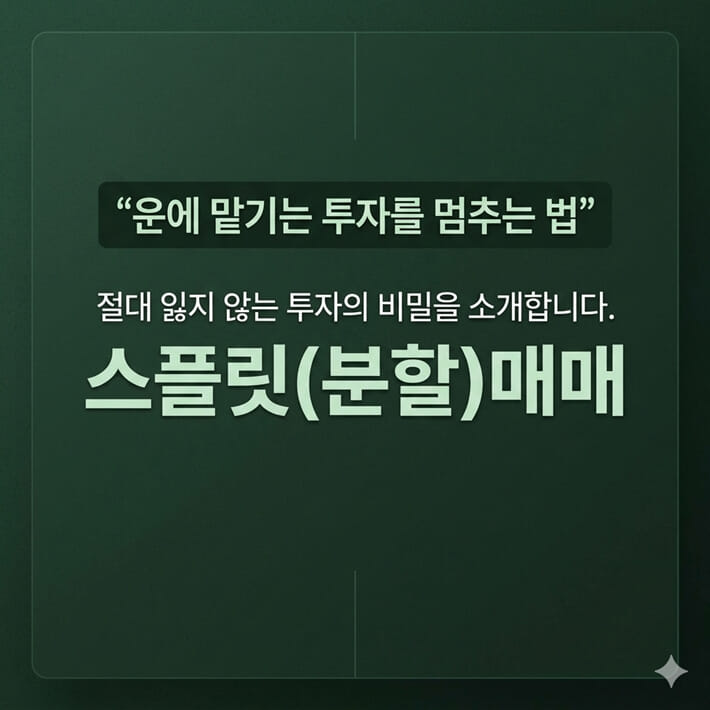 카드뉴스1