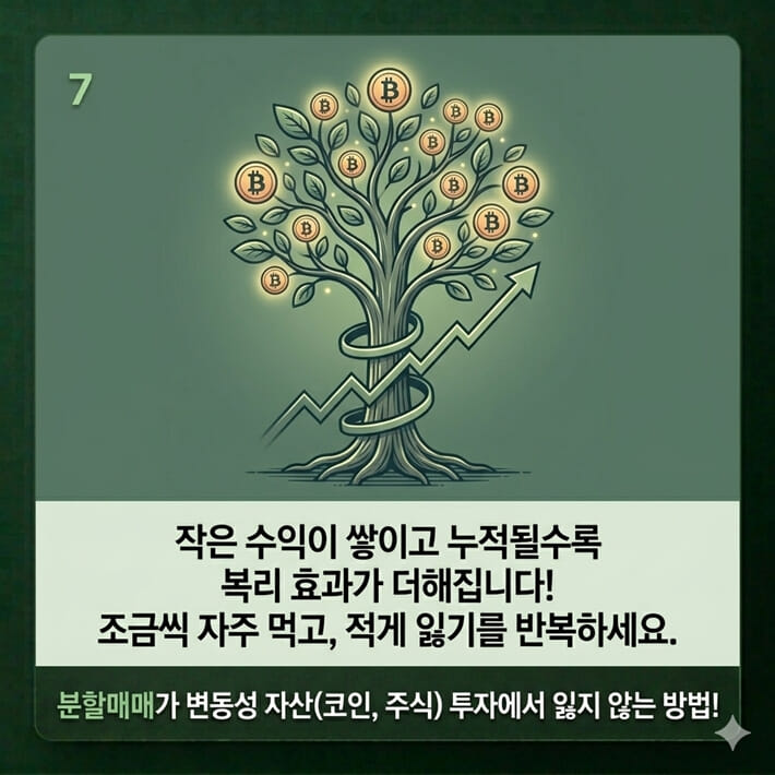 카드뉴스7