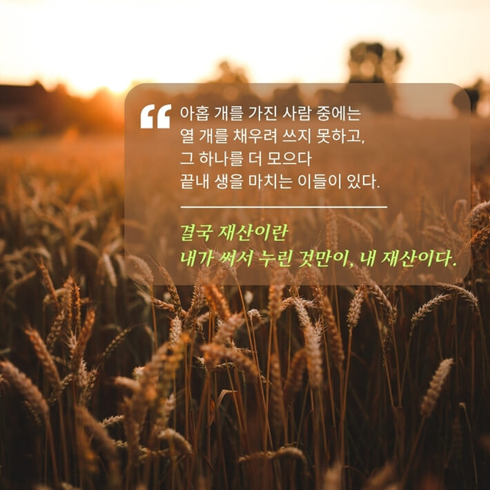 카드뉴스2