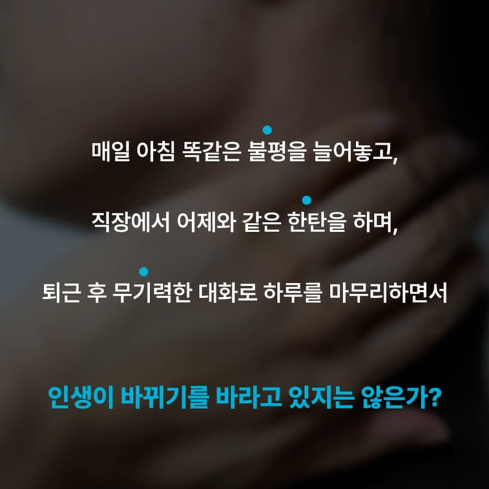 카드뉴스2