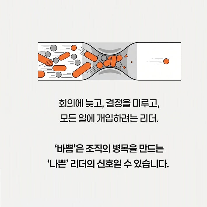 카드뉴스3