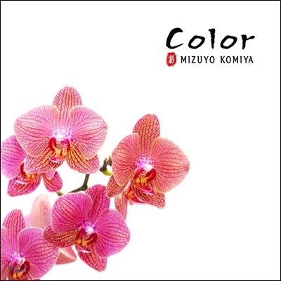 Mizuyo Komiya (미즈요 고미야) - Color
