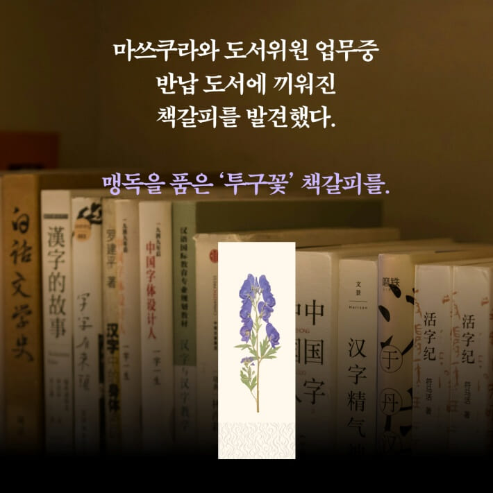카드뉴스2