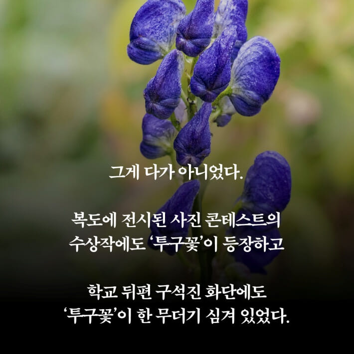 카드뉴스3