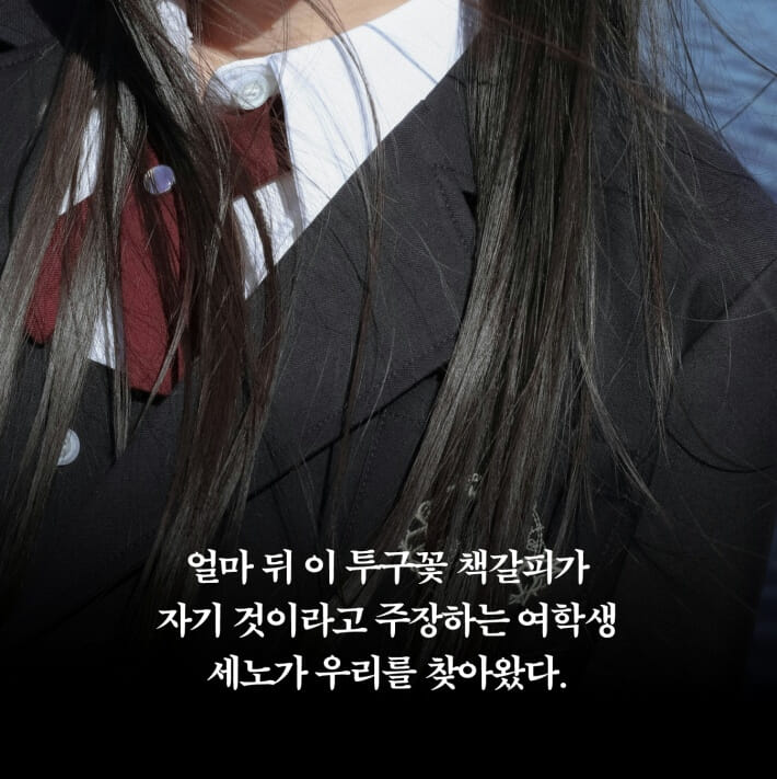 카드뉴스4