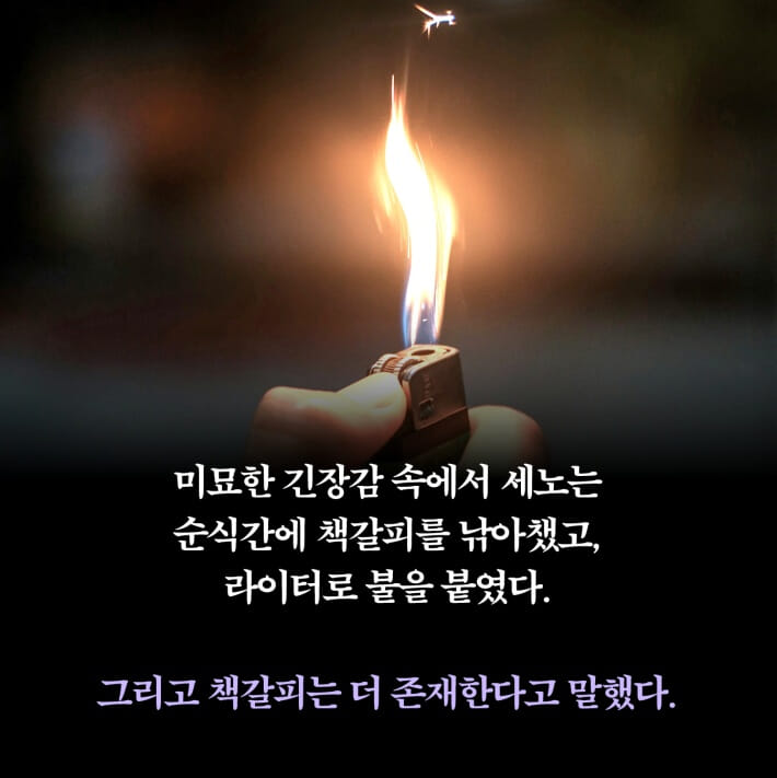 카드뉴스5