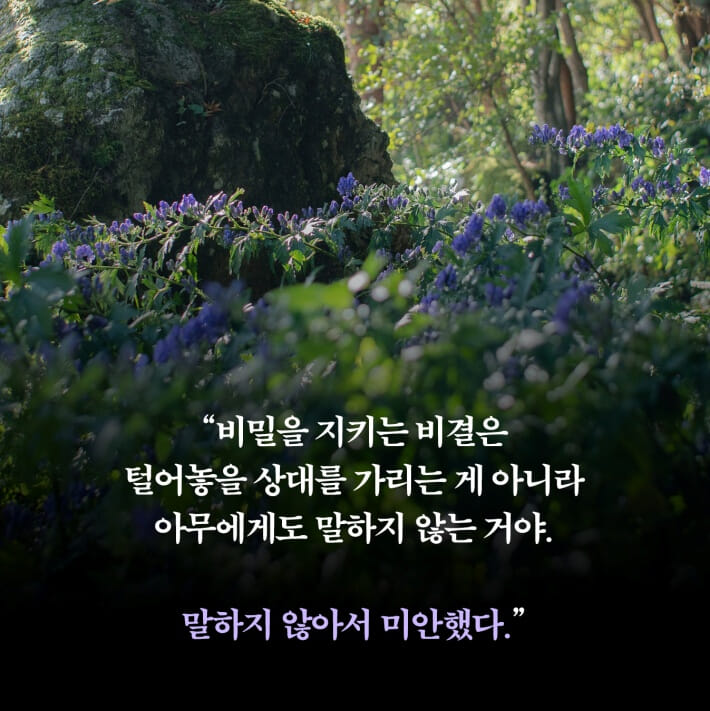 카드뉴스7