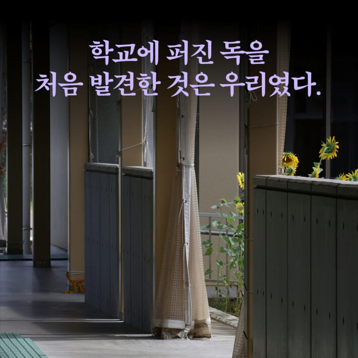 카드뉴스1