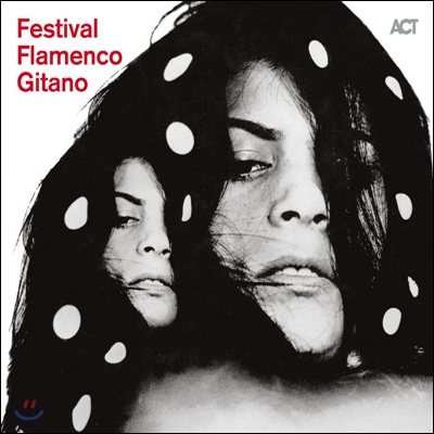 Festival Flamenco Gitano / Da Capo 플라멩코 음악 모음집