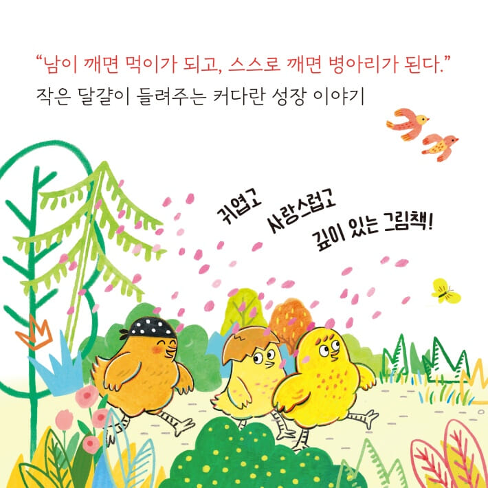 카드뉴스6