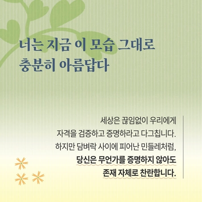카드뉴스5