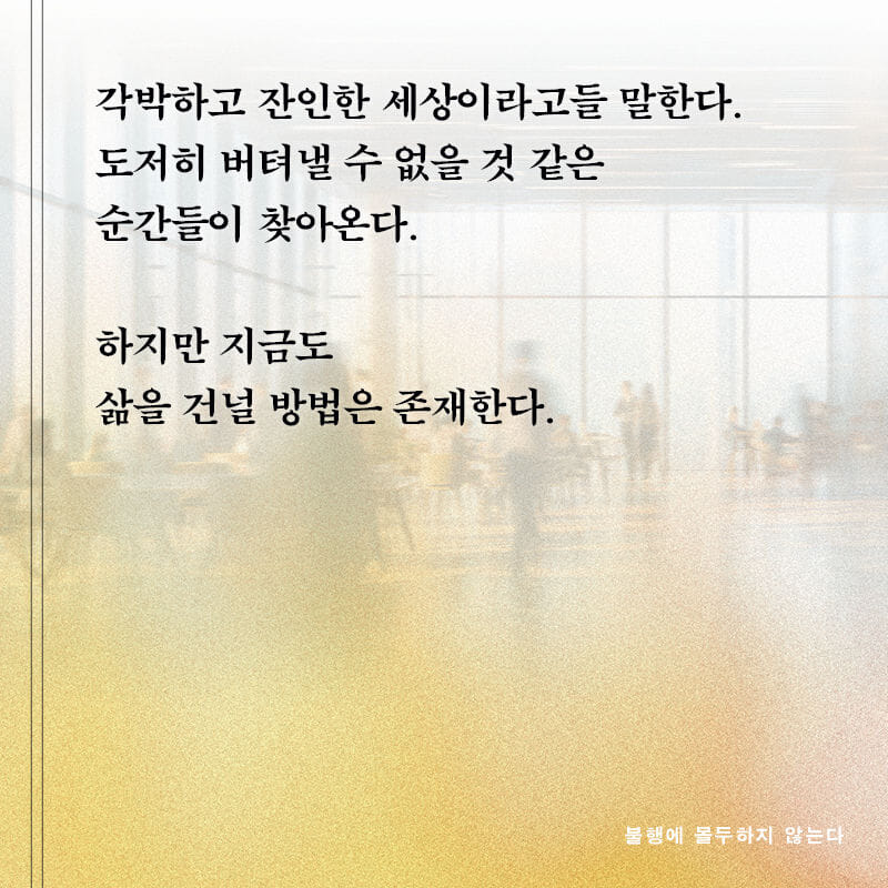 카드뉴스
