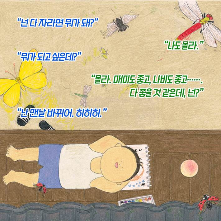 카드뉴스4